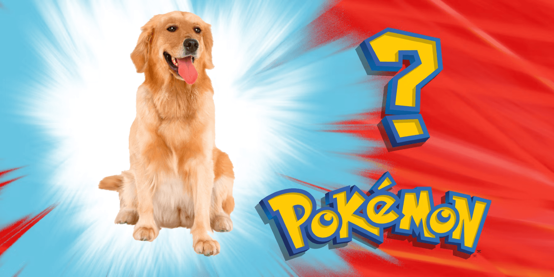 Dog Classifier